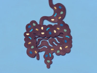 Flora bakteryjna w jelitach