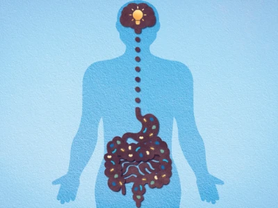 Oś mózgowo jelitowa