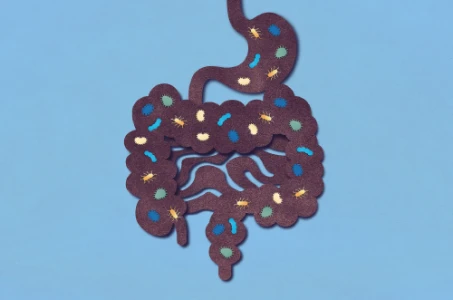 Flora bakteryjna w jelitach